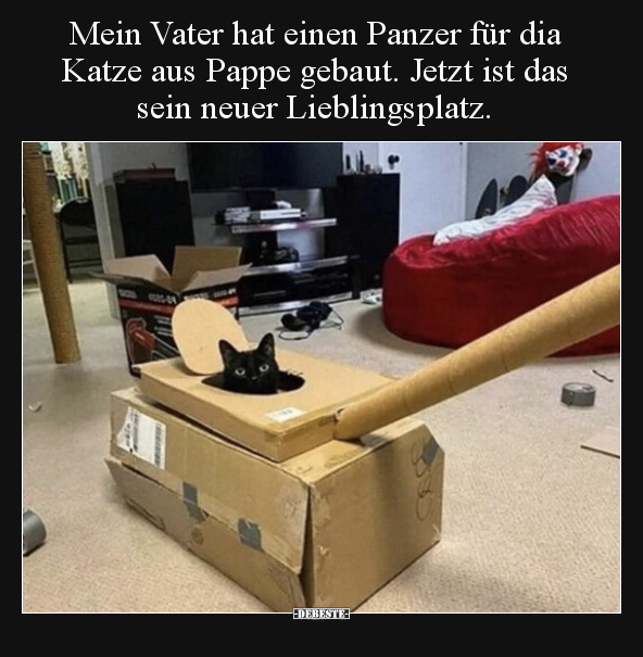 Mein Vater hat einen Panzer für dia Katze aus Pappe.. - Lustige Bilder | DEBESTE.de
