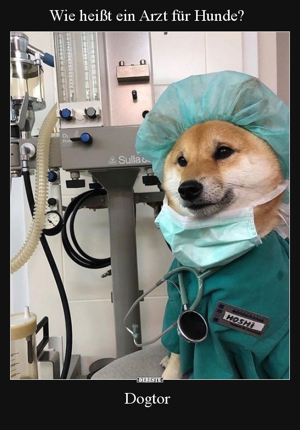 Wie heißt ein Arzt für Hunde? - Lustige Bilder | DEBESTE.de