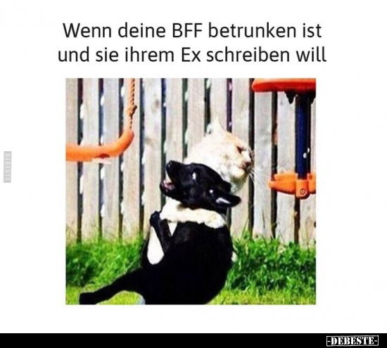 Wenn deine BFF betrunken ist und sie ihrem Ex schreiben.. - Lustige Bilder | DEBESTE.de