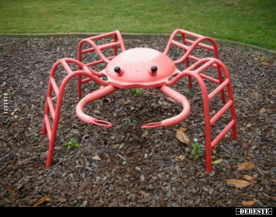  - Lustige Bilder | DEBESTE.de