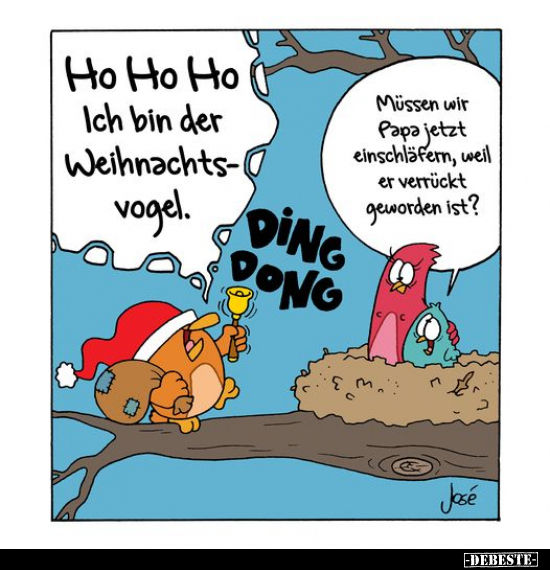 Ho Ho Ho! Ich bin der Weihnachtsvogel.. - Lustige Bilder | DEBESTE.de