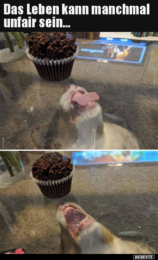 Das Leben kann manchmal unfair sein...