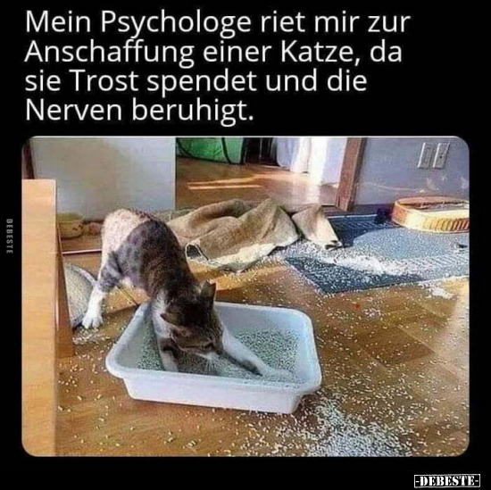 Mein Psychologe riet mir zur Anschaffung einer Katze, da.. - Lustige Bilder | DEBESTE.de