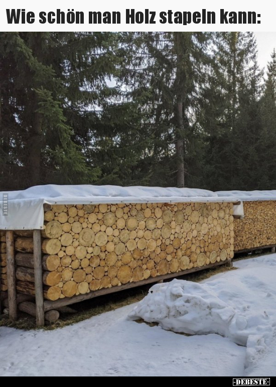 Wie schön man Holz stapeln kann.. - Lustige Bilder | DEBESTE.de