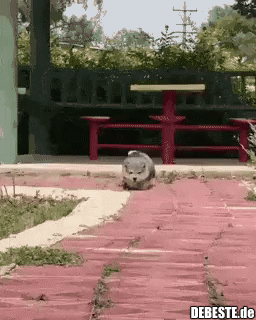 Error Error Error...