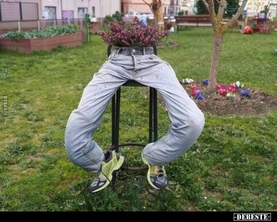  - Lustige Bilder | DEBESTE.de