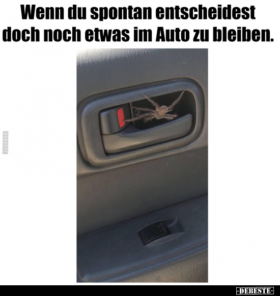 Wenn du spontan entscheidest doch noch etwas im Auto zu..