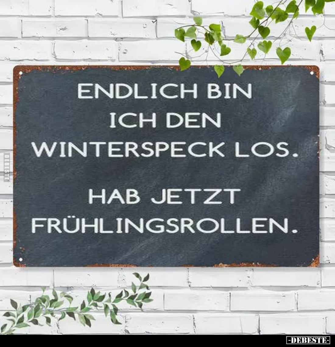 Endlich bin ich den Winterspeck los.
Hab jetzt Frühlingsrollen.