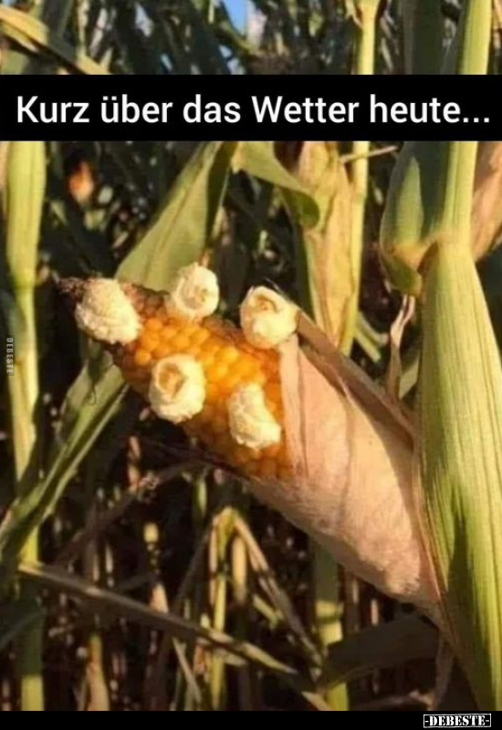 Kurz über das Wetter heute... - Lustige Bilder | DEBESTE.de