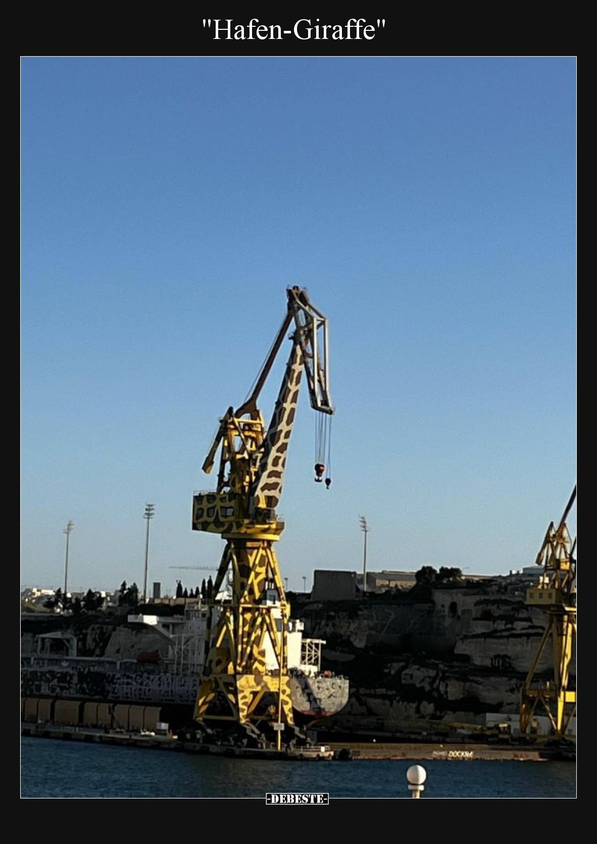 Hafen-Giraffe