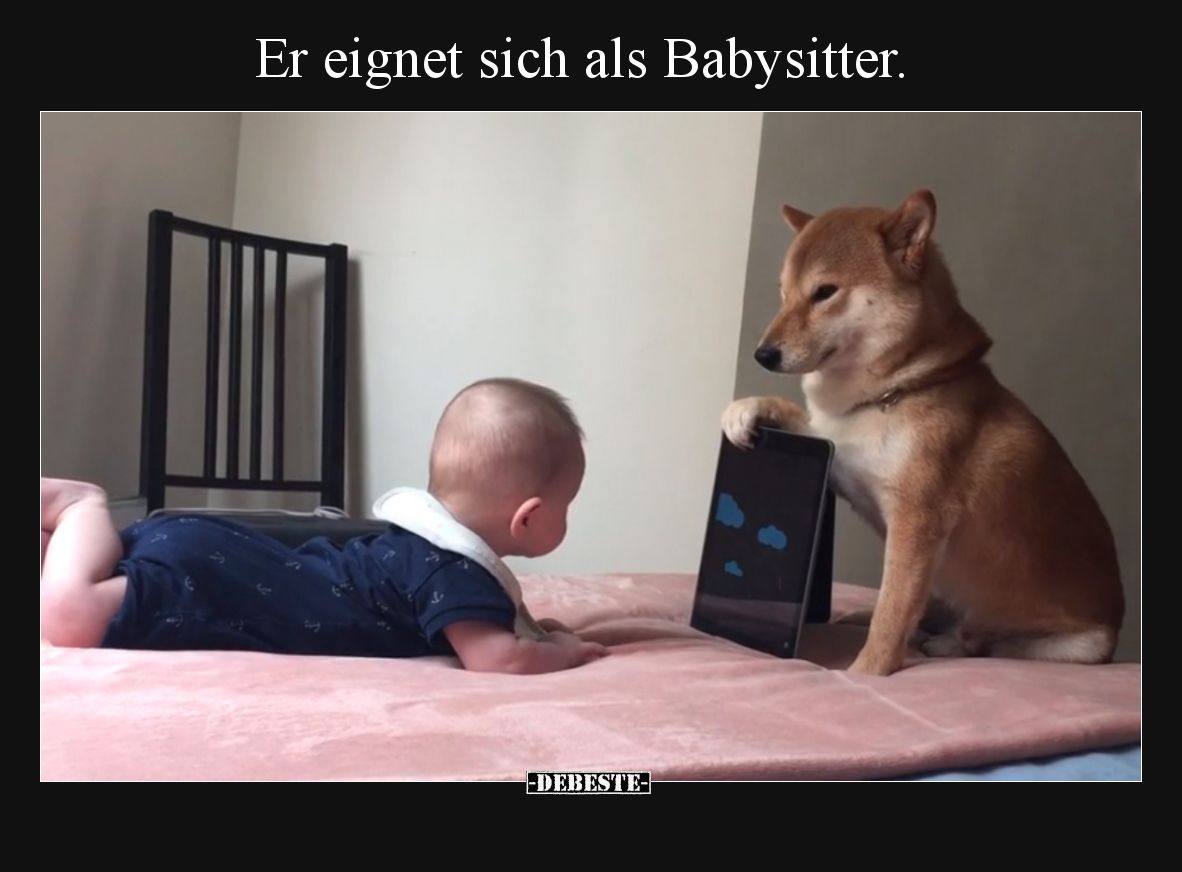 Er eignet sich als Babysitter.