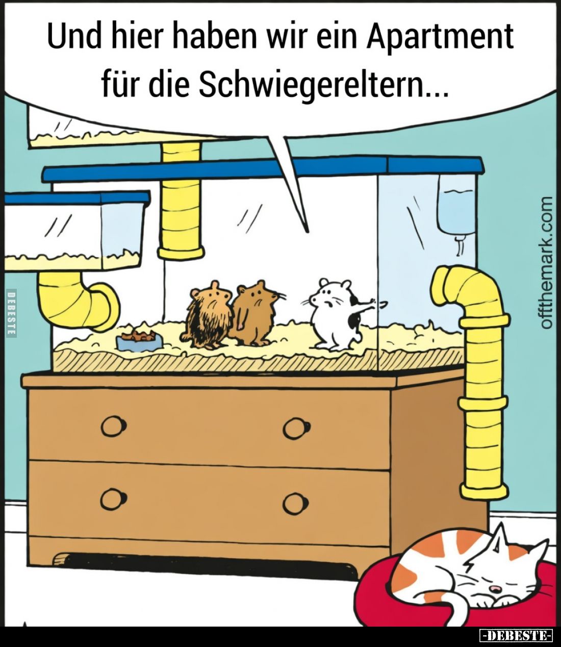 Und hier haben wir ein Apartment für die Schwiegereltern…