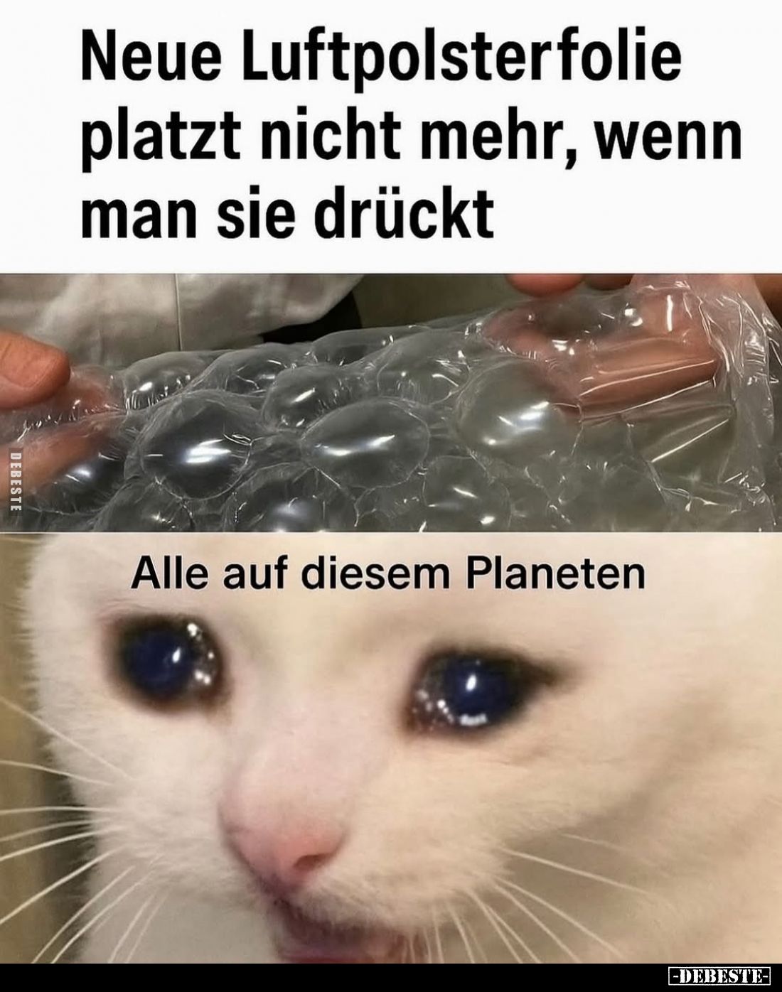 Neue Luftpolsterfolie platzt nicht mehr, wenn man sie drückt
-
Alle auf diesem Planeten