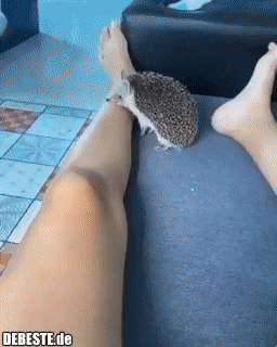 Peace was never an option.