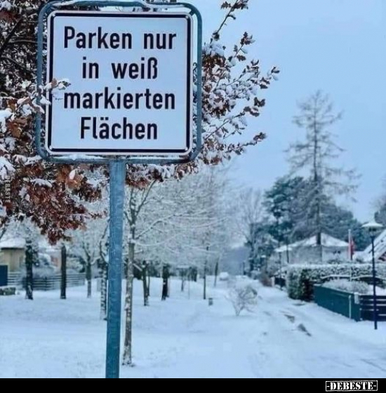 Parken nur in weiß markierten Flächen... - Lustige Bilder | DEBESTE.de