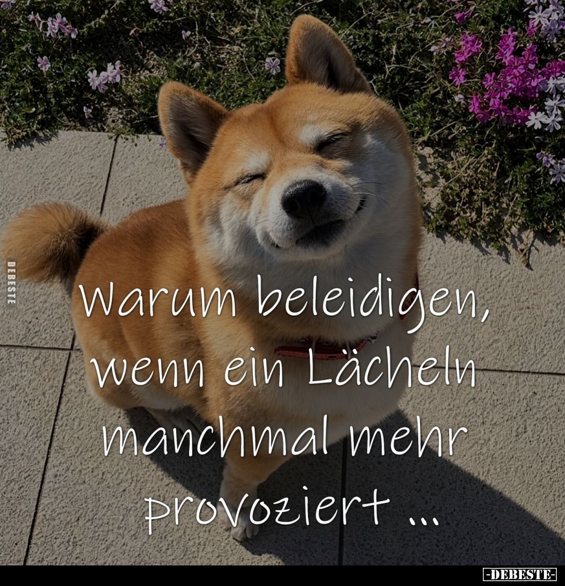 Warum beleidigen, wenn ein Lächeln manchmal mehr provoziert...