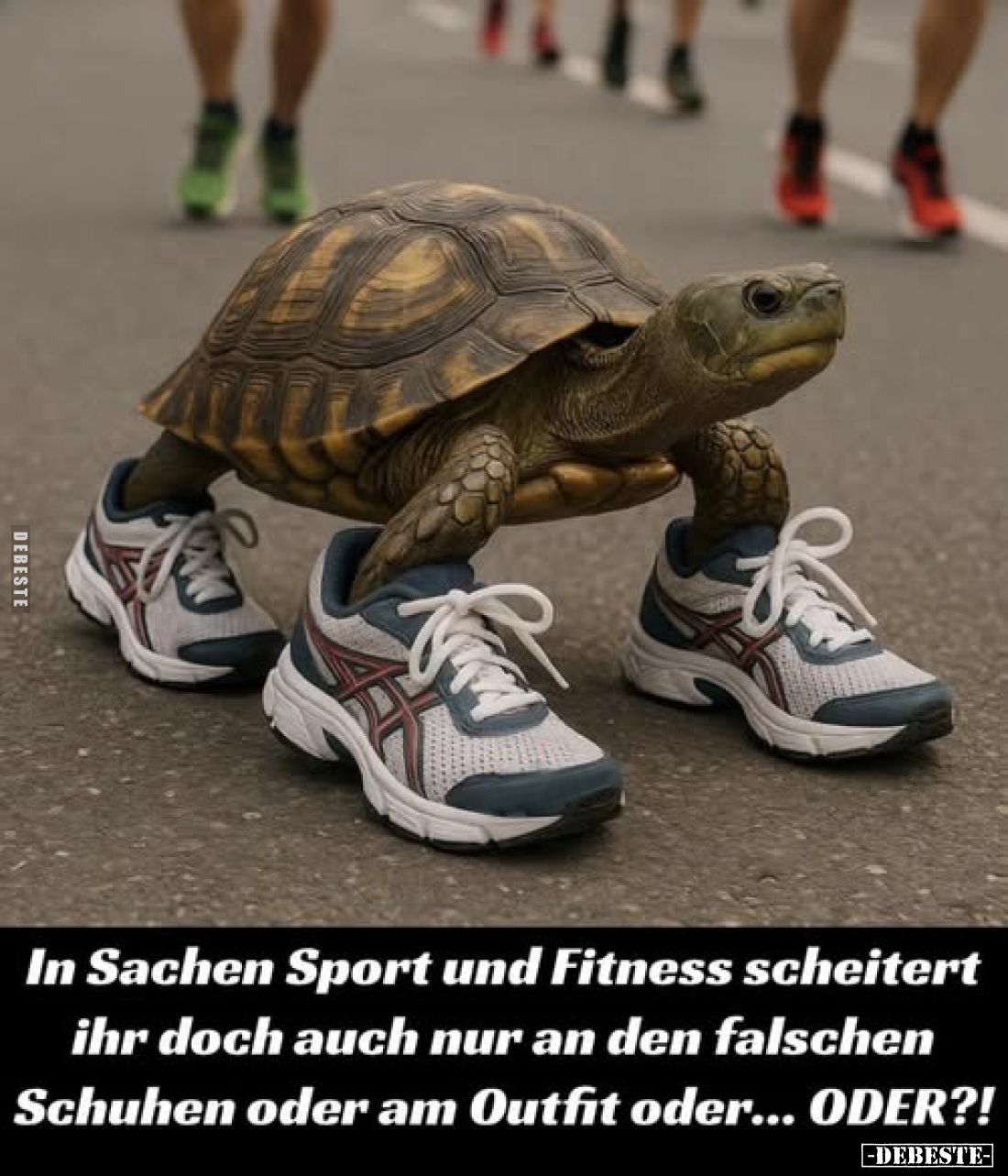 In Sachen Sport und Fitness scheitert ihr doch auch nur an den falschen Schuhen oder am Outfit oder... ODER?!