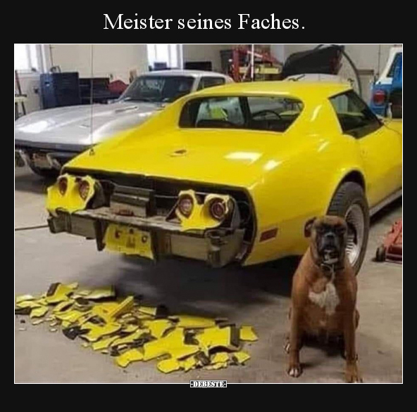 Meister seines Faches... - Lustige Bilder | DEBESTE.de