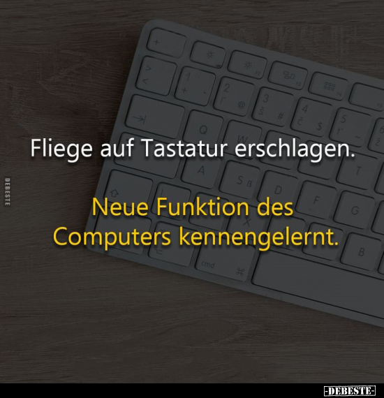 Fliege auf Tastatur erschlagen.. - Lustige Bilder | DEBESTE.de