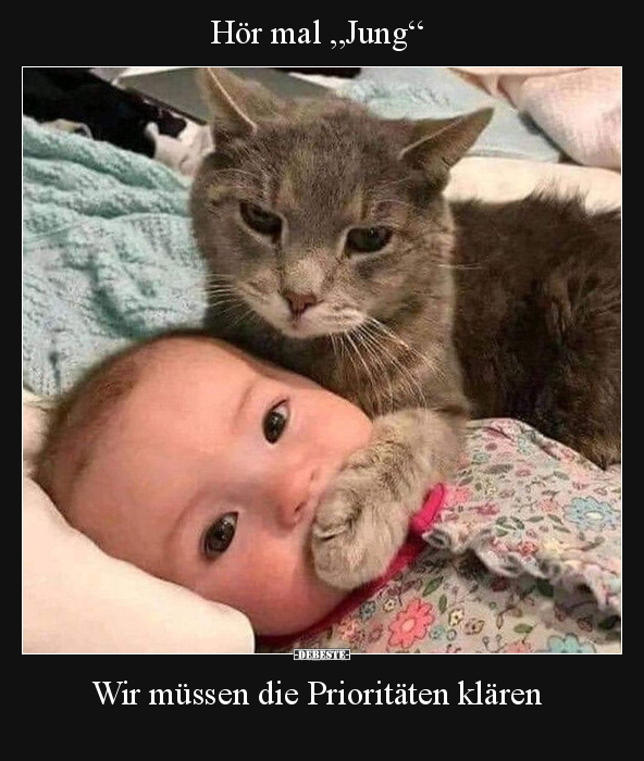 Katzen, Kinder