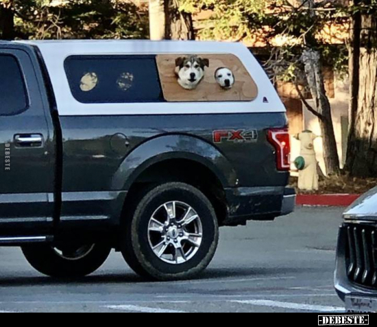  - Lustige Bilder | DEBESTE.de