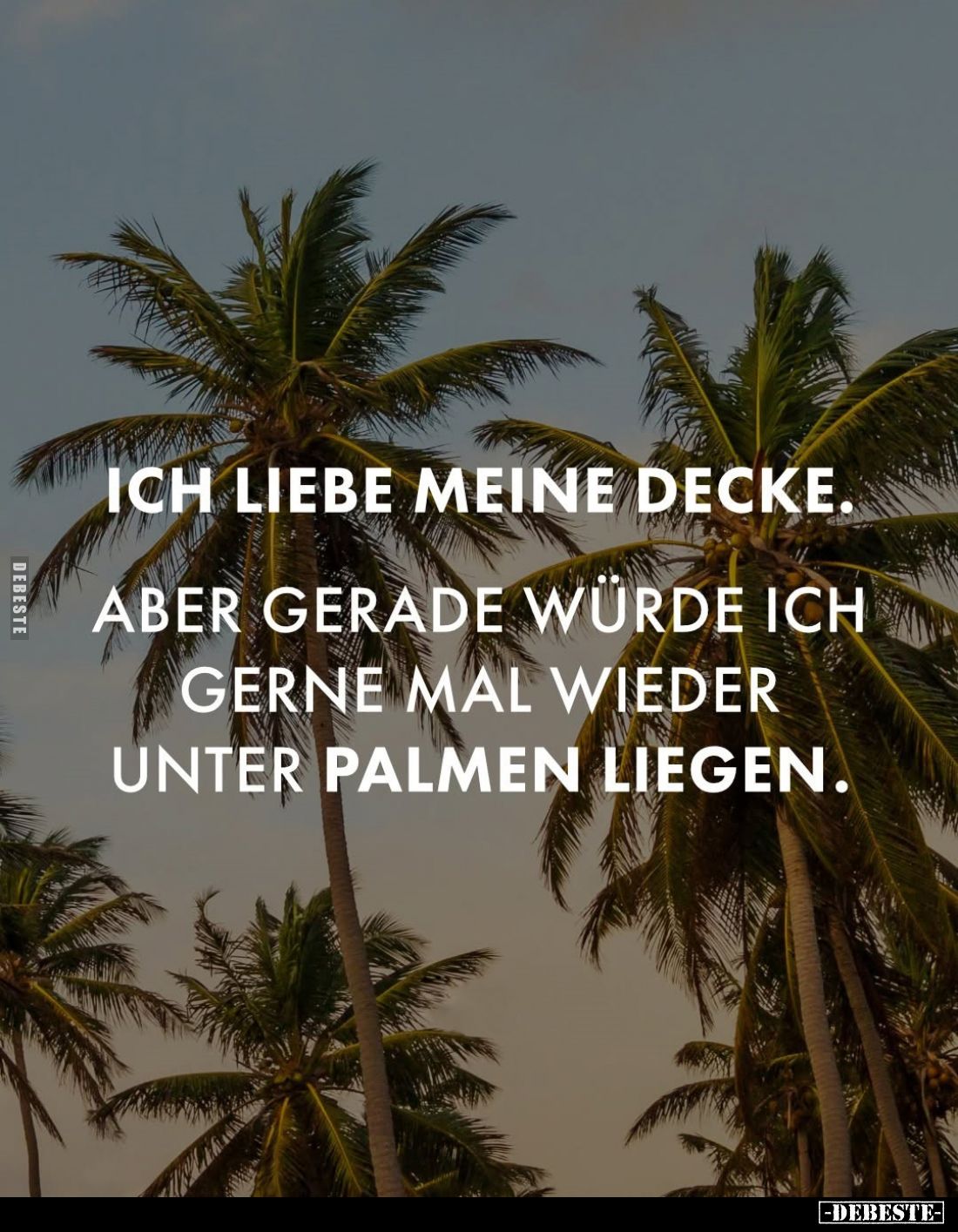 Ich liebe meine Decke.
Aber gerade würde ich gerne mal wieder unter Palmen liegen.