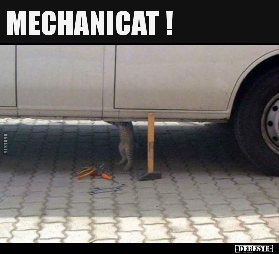 MECHANICAT !..