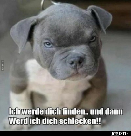 Ich werde dich finden.. und dann Werd ich dich..
