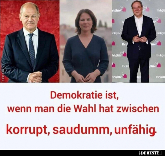 Demokratie ist, wenn man die Wahl hat zwischen korrupt.. - Lustige Bilder | DEBESTE.de