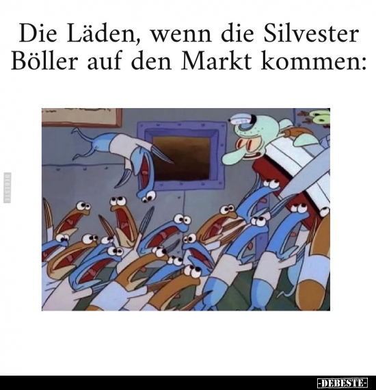 Wenn, Silvester, Böller, Kommen