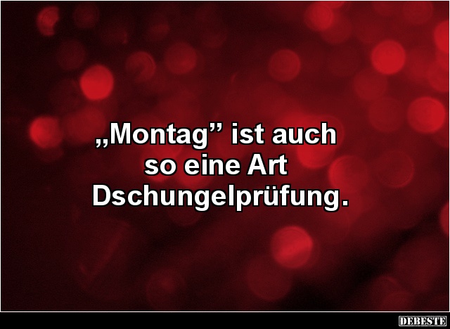 „Montag” ist auch so eine Art Dschungelprüfung. - Lustige Bilder | DEBESTE.de