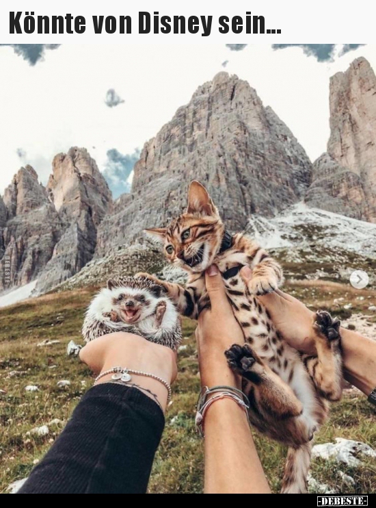 Könnte von Disney sein...