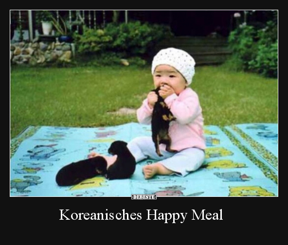 Koreanisches Happy Meal.. - Lustige Bilder | DEBESTE.de