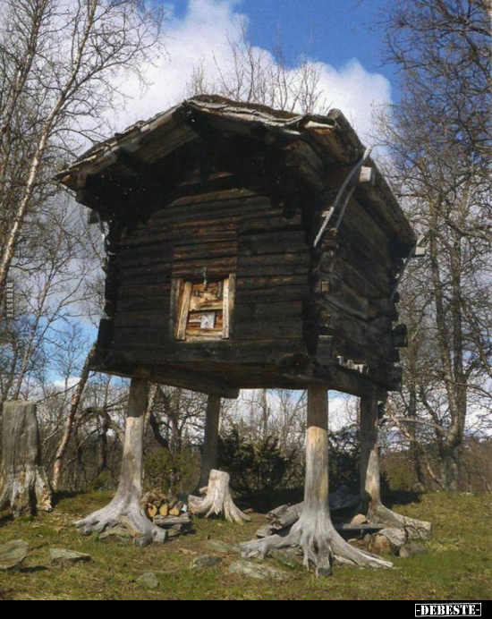  - Lustige Bilder | DEBESTE.de