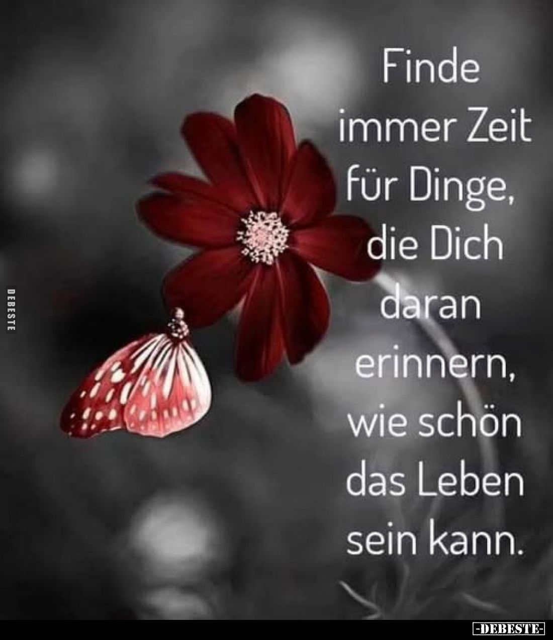 Finde immer Zeit für Dinge, die Dich daran erinnern, wie.. - Lustige Bilder | DEBESTE.de
