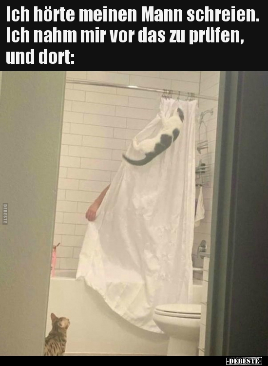 Ich hörte meinen Mann schreien. Ich nahm mir vor das zu..