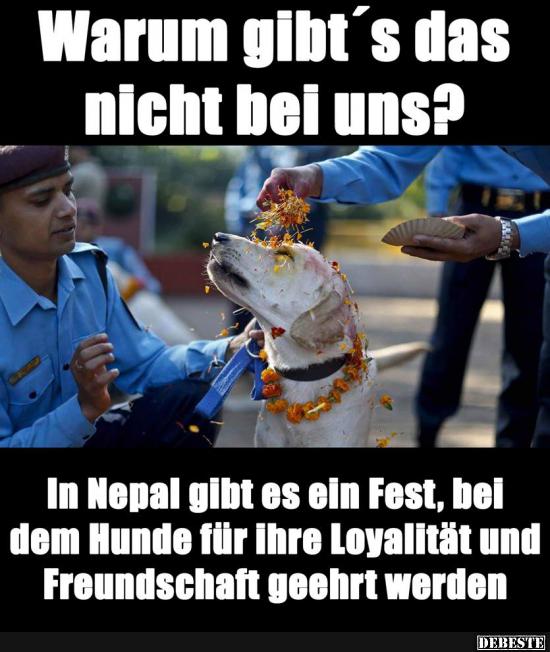 Warum gibt's das nicht bei uns?