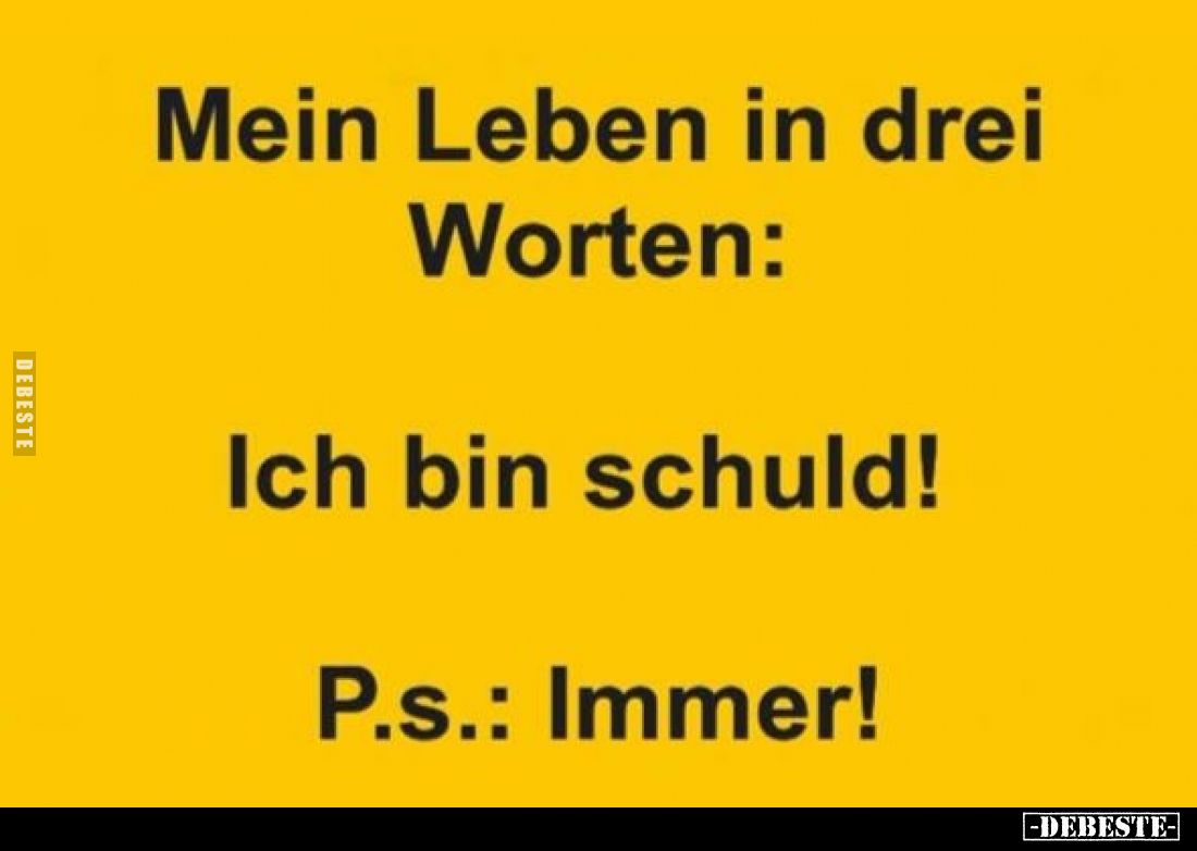 Mein Leben in drei Worten:
Ich bin schuld! -
P.S. Immer!