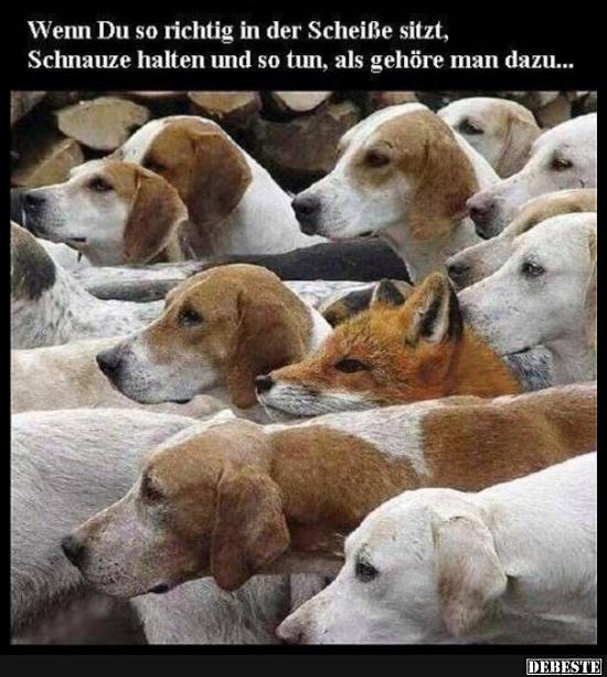 Wenn Du so richtig in der ... sitzt..