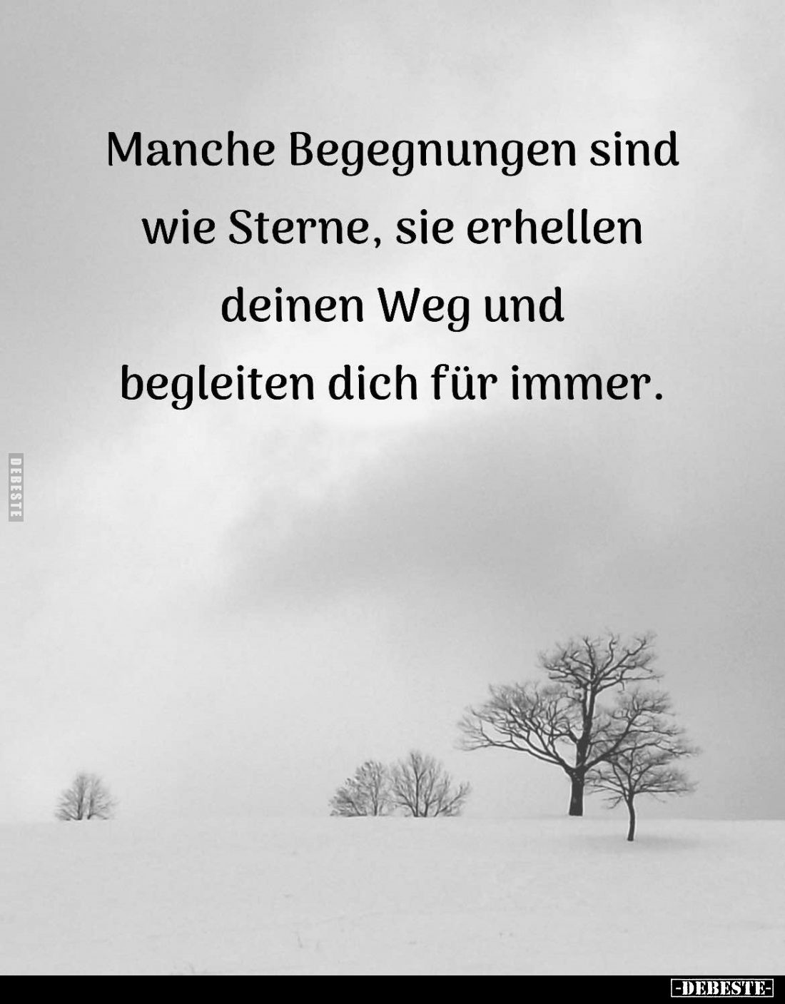 Manche Begegnungen sind wie Sterne, sie erhellen deinen Weg und begleiten dich für immer.