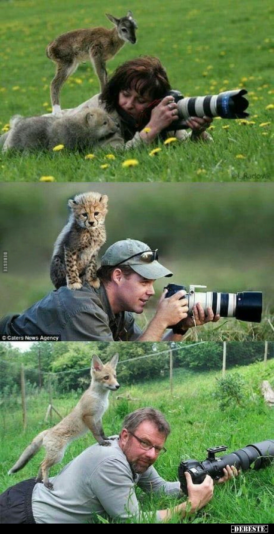  - Lustige Bilder | DEBESTE.de