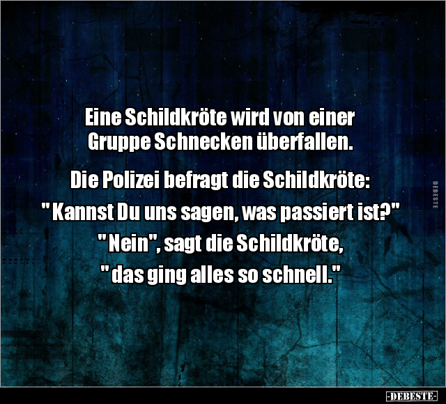 Schildkröte, Gruppe, Schnecken, Polizei