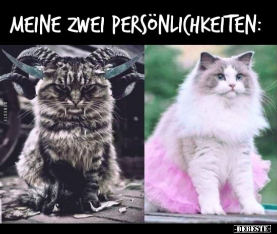 Meine zwei Persönlichkeiten.. - Lustige Bilder | DEBESTE.de