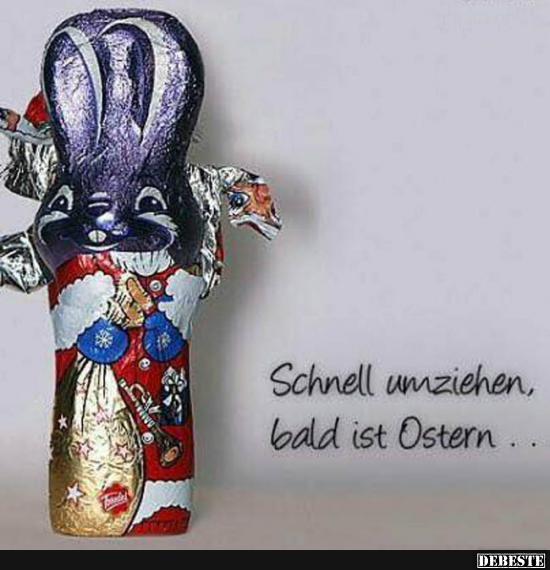 Die ersten Hasen stehen in den Läden! - Lustige Bilder | DEBESTE.de