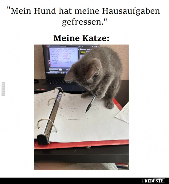 "Mein Hund hat meine Hausaufgaben gefressen".. - Lustige Bilder | DEBESTE.de