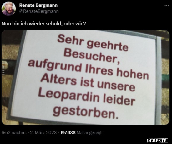Nun bin ich wieder schuld, oder wie?.. - Lustige Bilder | DEBESTE.de