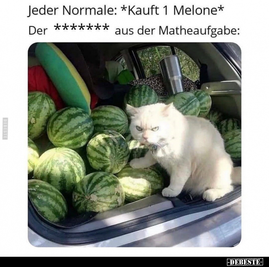 Jeder Normale: *Kauft 1 Melone*.. - Lustige Bilder | DEBESTE.de