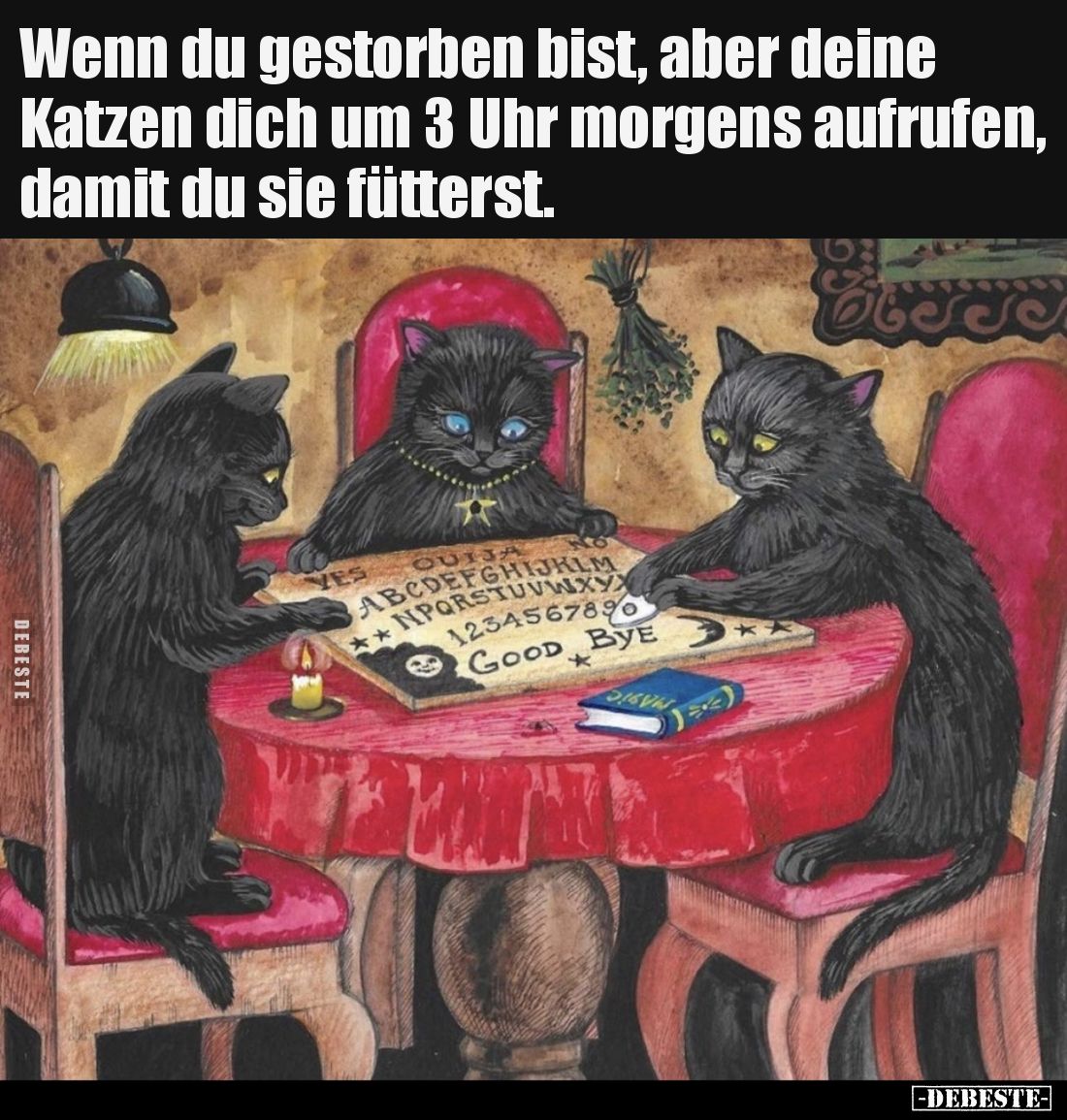 Wenn du gestorben bist, aber deine Katzen dich um 3 Uhr morgens aufrufen, damit du sie fütterst.