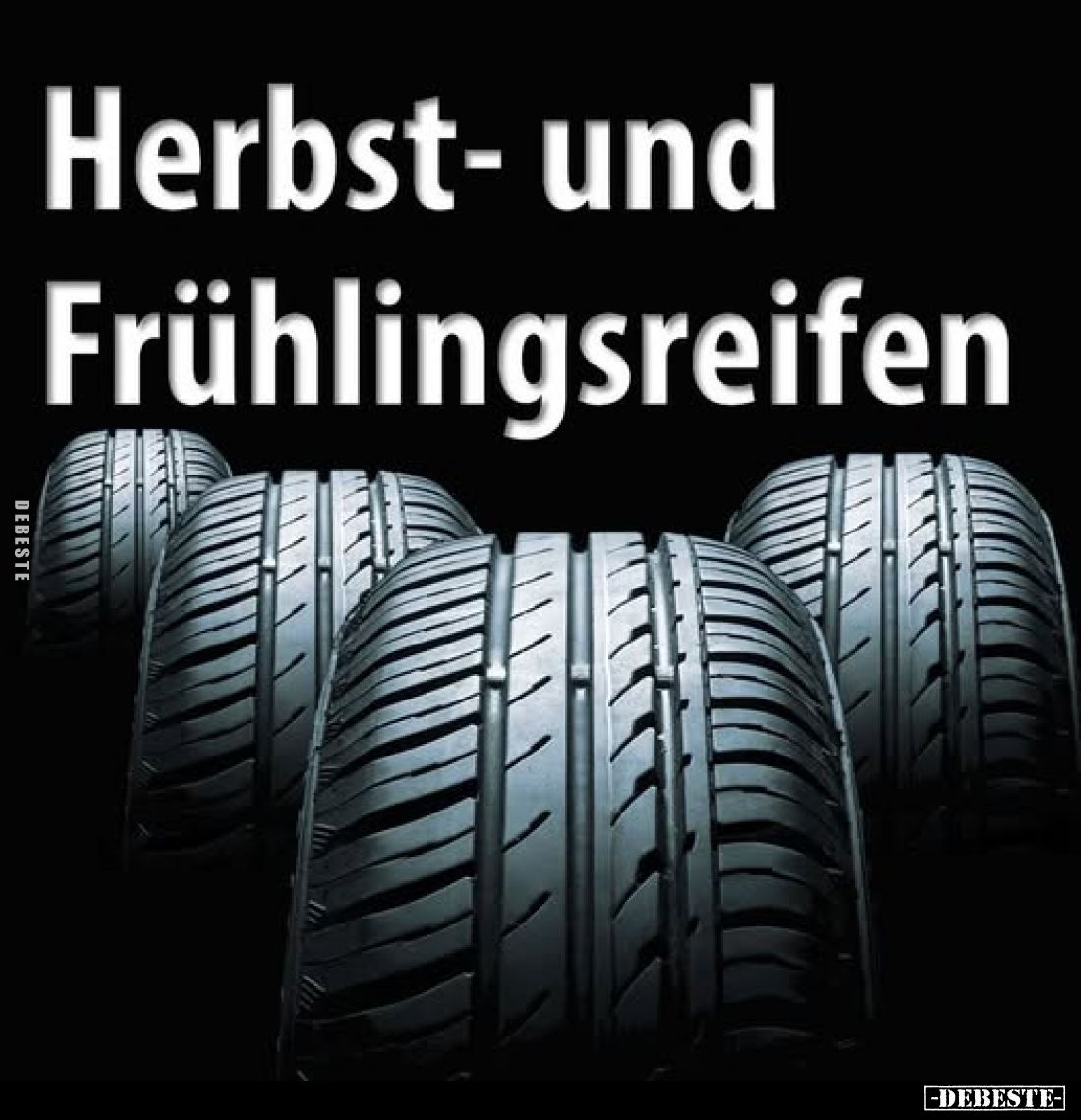 Herbst- und Frühlingsreifen.. - Lustige Bilder | DEBESTE.de