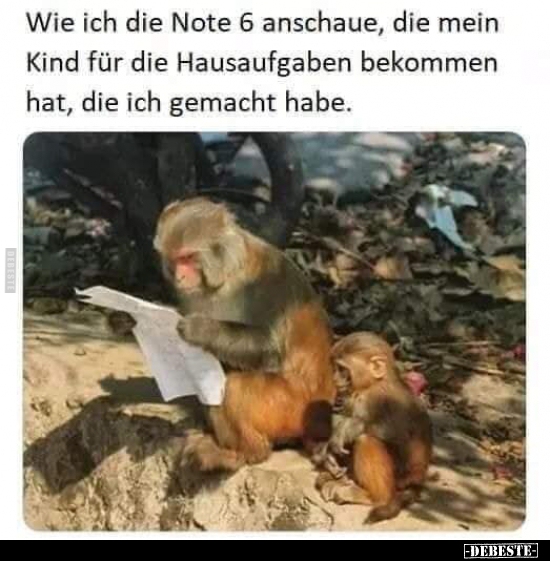 Wie ich die Note 6 anschaue, die mein Kind für die.. - Lustige Bilder | DEBESTE.de